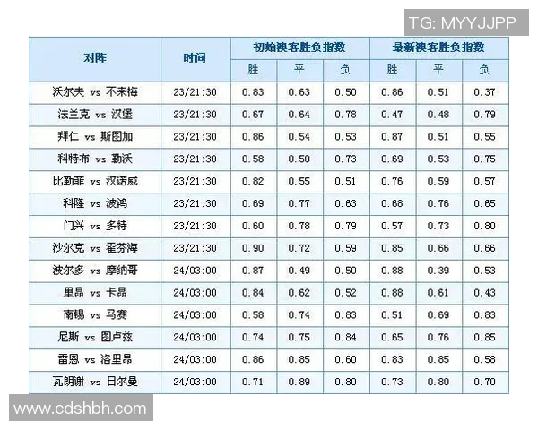 北京网球队战术表现数据分析与优化策略探讨