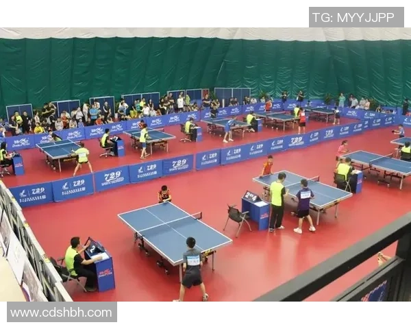 南京乒乓球队选拔赛背后的拼搏故事与奋斗历程全景回顾